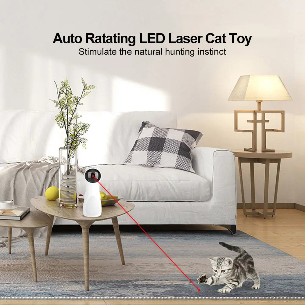 Automatic Bear-Shaped Laser Cat Toy null