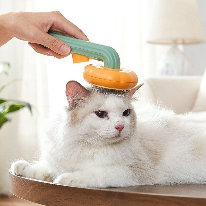 Self-Cleaning Pet Grooming Brush null