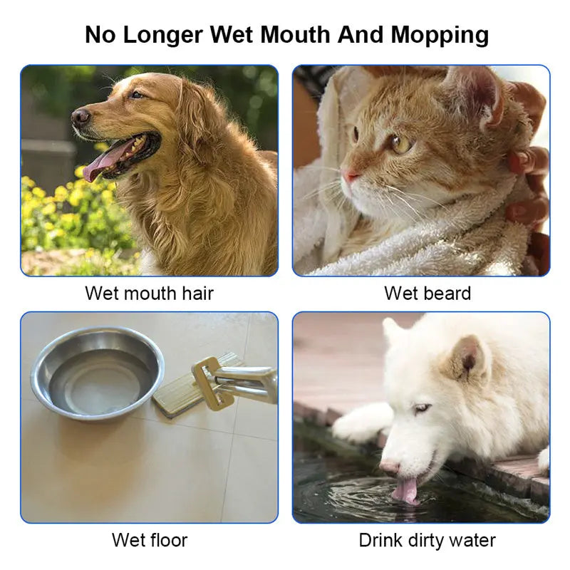 1.5L Anti-Overflow Pet Water Bowl null