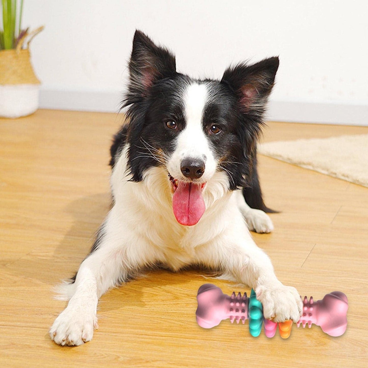 Indestructible Dog Chew Toy null