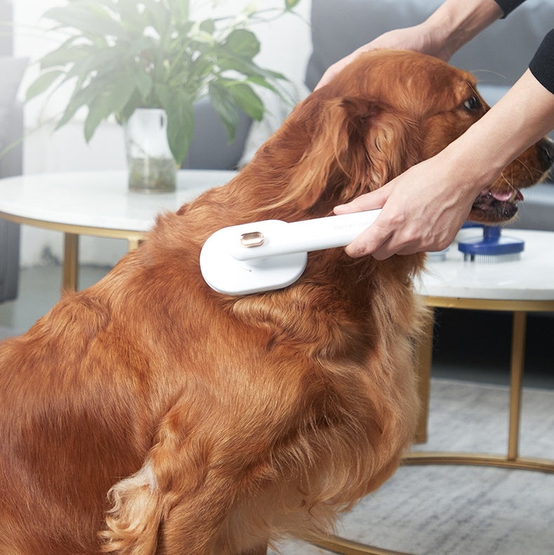 Self-Cleaning Pet Hair Brush null