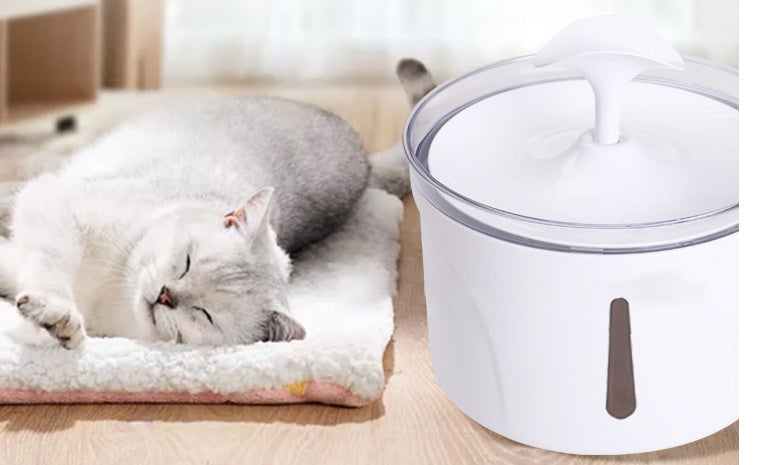 Automatic Pet Water Dispenser null