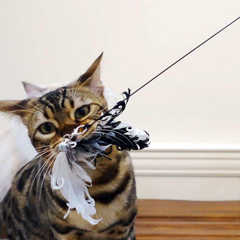 Interactive Cat Toy with Bird Simulation null