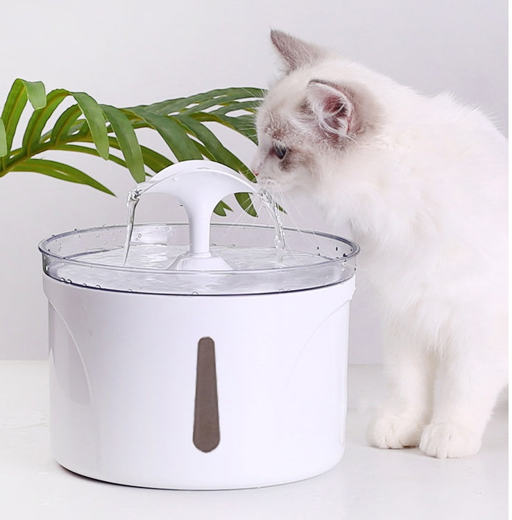 Automatic Pet Water Dispenser null