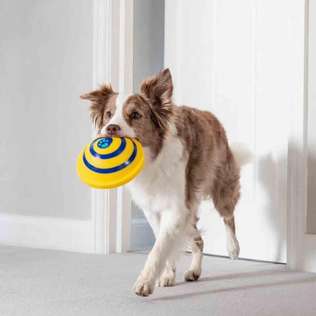 Soft Woof Glider Dog Toy null