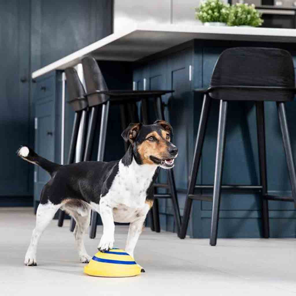 Soft Woof Glider Dog Toy null