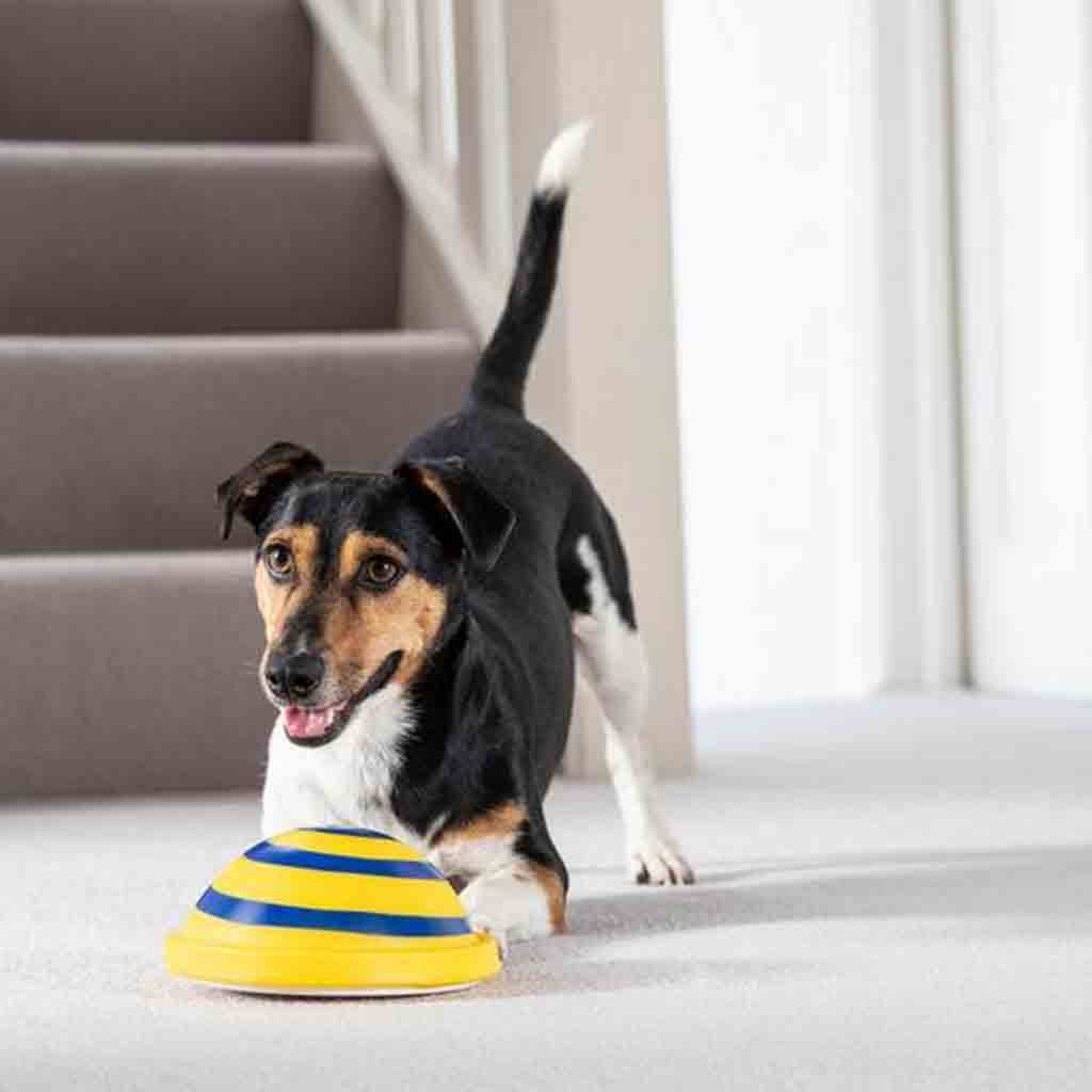 Soft Woof Glider Dog Toy null