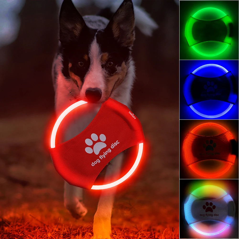 LED Glowing Dog Frisbee null