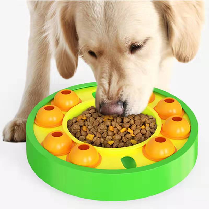 Slow Feeder & IQ Training Food Dispenser null