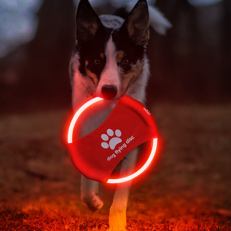 LED Glowing Dog Frisbee null